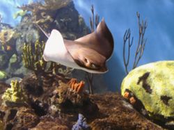 Temaikèn: tierra de vida Temaikèn: tierra de vida