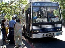 Ómnibus: en un mes y medio funcionarán tarjetas STM