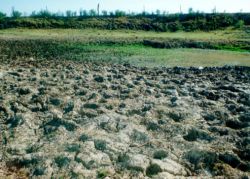 La sequía comienza a castigar el interior de Uruguay