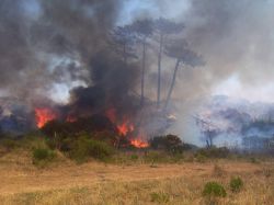 Nicola: los terrenos deben limpiarse "con antelación" al verano