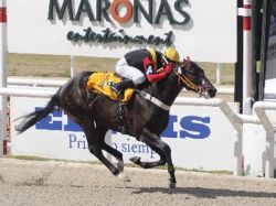 Gran Premio Ramírez