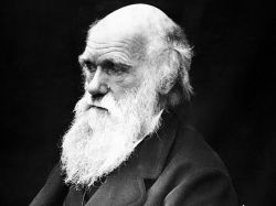 A 200 años de Charles Darwin