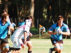 Los Teros cayeron en el debut