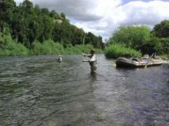 La pesca: una tradición bien uruguaya que cobra fuerzas esta semana