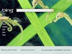 Sabotean a Bing en Argentina