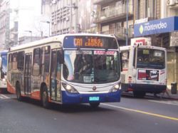 IMM implementa plan de reforma en transporte colectivo