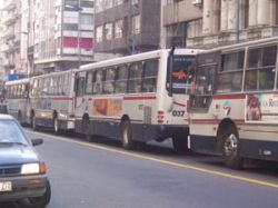 IMM implementa plan de reforma en transporte colectivo