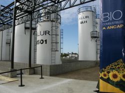 Uruguay producirá biodiésel y comenzará un proceso de sustitución de importaciones