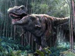 El mundo de los dinosaurios acabó por un meteorito