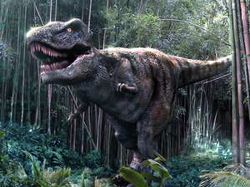 El mundo de los dinosaurios acabó por un meteorito