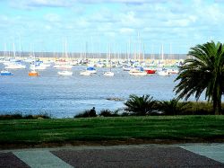 Particular iniciativa sobre la Rambla de Montevideo