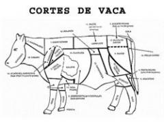 Optimismo por gestiones para ingresar carne a Corea