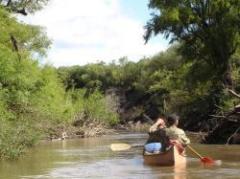 Día Mundial del Medio Ambiente