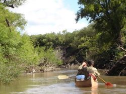 Día Mundial del Medio Ambiente