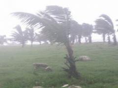 Se crea videojuego que busca "generar conciencia"