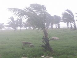 Se crea videojuego que busca "generar conciencia"