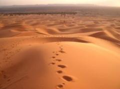 Lanzan la década de lucha contra la desertificación