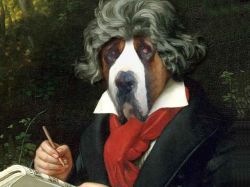 Universitarios creen que Beethoven es un perro