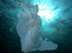 Acumulación de plástico en el Atlántico se ha estancado