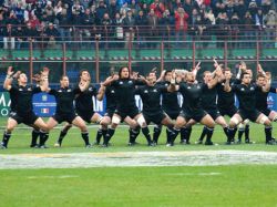 All Blacks campeones del torneo Tres Naciones