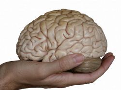 Esclerosis múltiple aumenta en primavera y verano