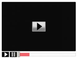 Videos inundarán la web