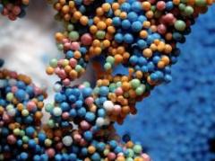 Doce científicos revelan sus códigos genéticos