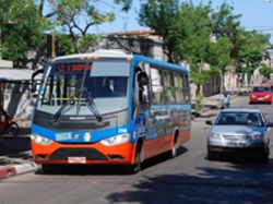 Salto: ómnibus ciudad-playa