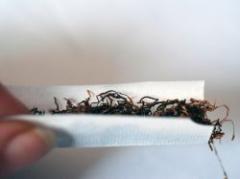 Las drogas aceleran degeneración cerebral