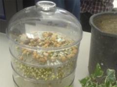 A plantar en el espacio