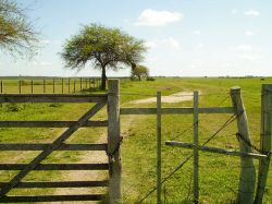 Las condiciones y cuidados sobre la compra de tierras