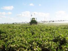 Mejoró el ánimo en el sector agrícola con las lluvias