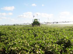 Mejoró el ánimo en el sector agrícola con las lluvias