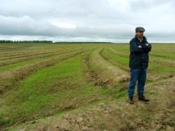 Proyección sobre el agro