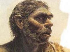Descubren que hombre de Neandertal comía vegetales