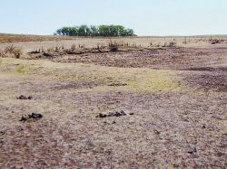 Sequía: aplican plan de emergencia en Cerro Largo