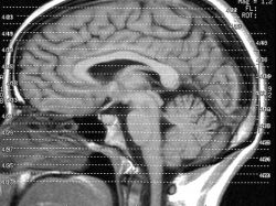 El genio dentro de cada uno