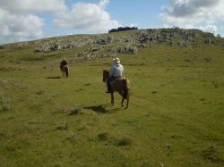 El turismo rural uruguayo comienza a pisar fuerte fuera de fronteras