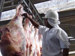 Prevén que haya nuevo ajuste en el precio de la carne