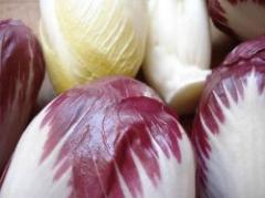 Crean cerveza exótica