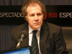 Almagro: "La decisión del Gobierno sobre Palestina puede ser cualquier cosa menos prematura"