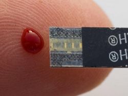 Proyectan producción de sangre a nivel industrial