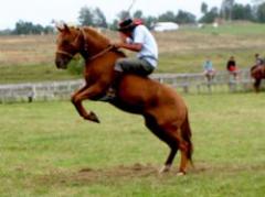 Una semana con muchos nombres