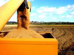 Paro de trabajadores de molinos dejará daños "irreparables" en la cosecha de arroz