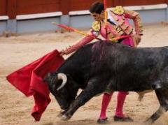 Francia: corridas de toros son patrimonio cultural
