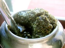 VI Congreso Sudamericano de la Yerba Mate será en Uruguay