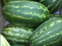 Ola de explosiones de sandías en China