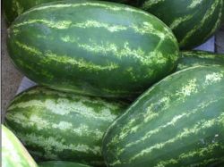 Ola de explosiones de sandías en China