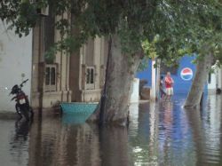 Nivel del mar podría elevarse un metro de aquí al 2100