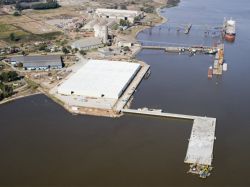 Playa de estacionamiento de camiones en puerto de Nueva Palmira continúa en condiciones "caóticas"